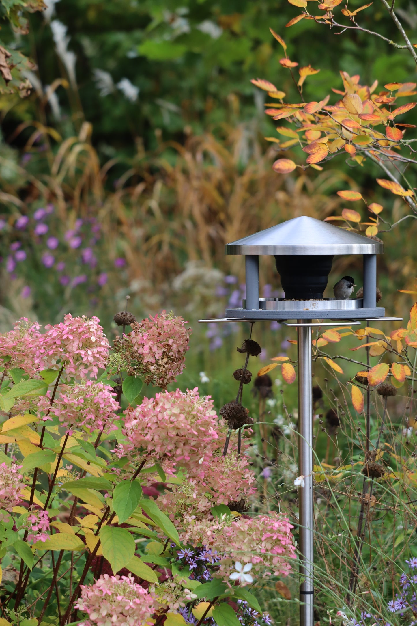 Vogelhaus "Lech" grau (Holz - Edelstahl) (stehend)