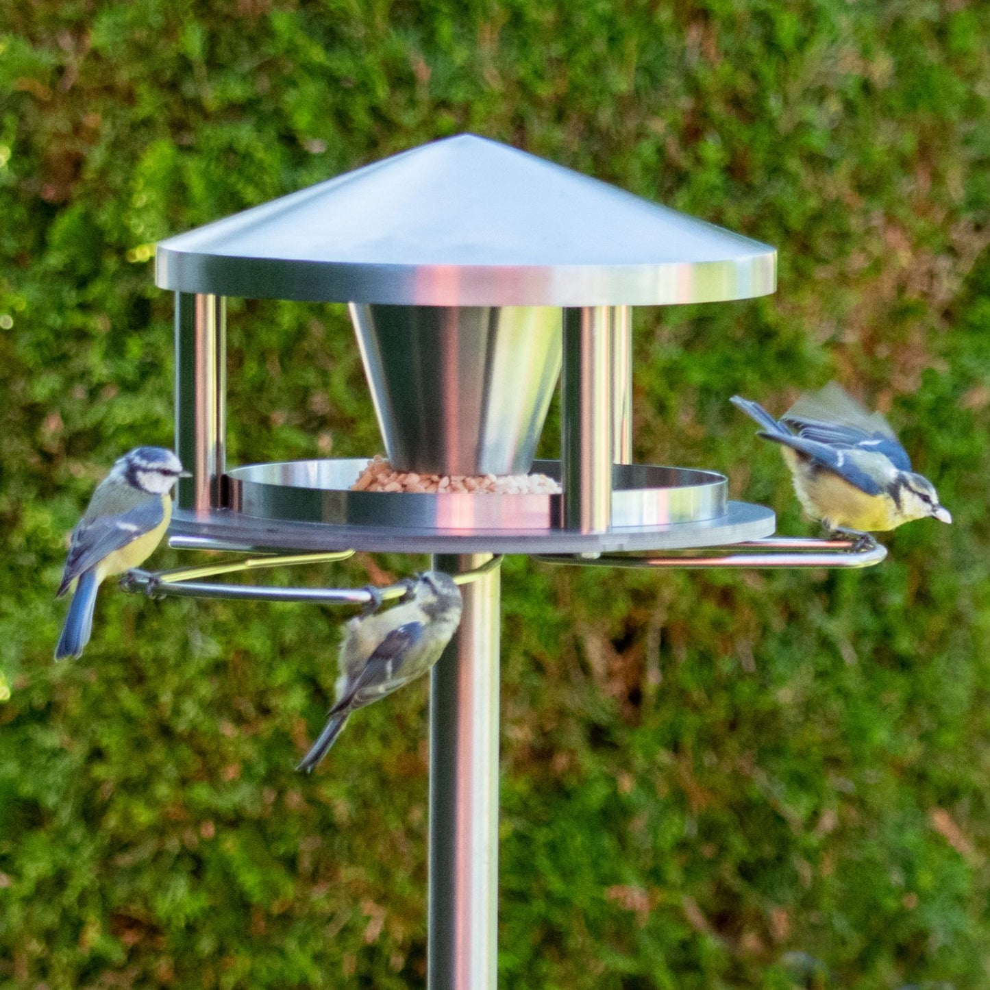 NEU! Vogelhaus "Lech" grau (HPL - Edelstahl) (stehend)